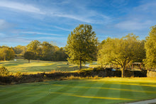 Load image into Gallery viewer, 12th Annual Tennessee PKU Foundation Golf Tournament - Four Person Team Registration